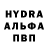 ГАШ убойный Kvotermain