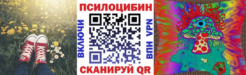 Псилоцибиновые грибы ЛСД сайты даркнета клад Анива